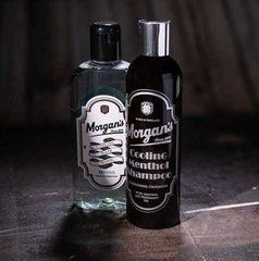 Шампунь для волос Morgan's Cooling Menthol Men's Shampoo 250ml